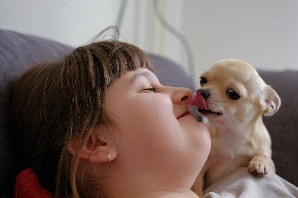Are Chihuahuas Good for Families with Kids