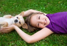 Are Chihuahuas Good for Families with Kids
