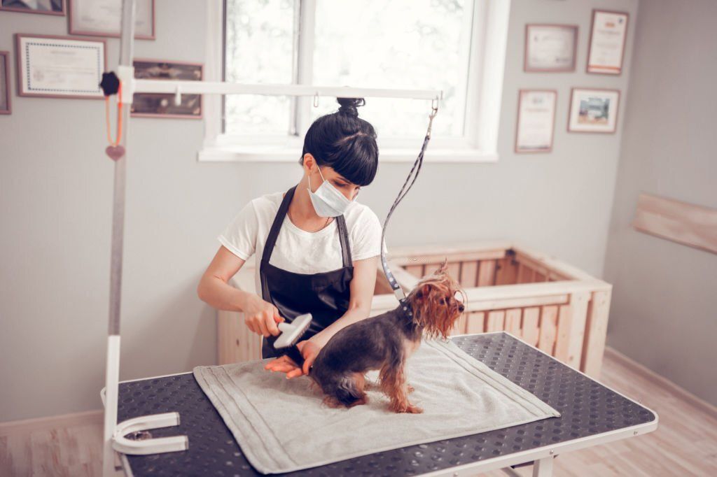 What to Consider When You’re in the Market to Buy Dog Grooming Tables for Your Salon
