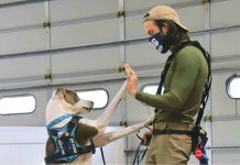 What to Expect from The Dog Savant Professional Dog Training Services